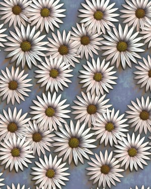 Daisies!!!